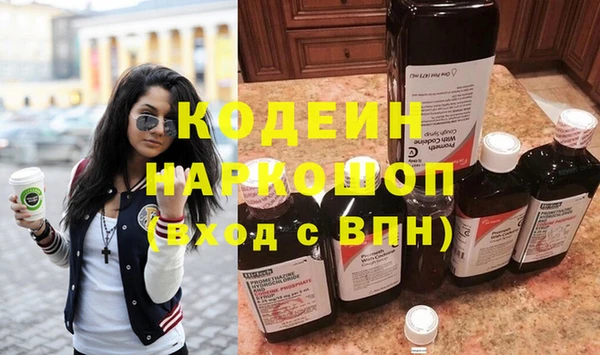 хмурый Алзамай