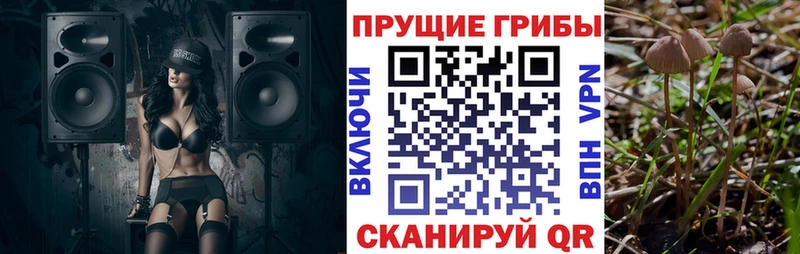 купить наркотики сайты  Узловая  Псилоцибиновые грибы Cubensis 