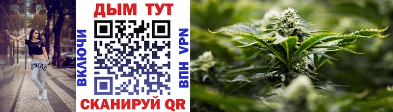 Бошки Шишки план  Узловая 